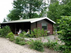 Welcoming chalet with a microwave, in the Achterhoek